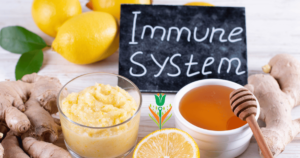 natural Immune System booster